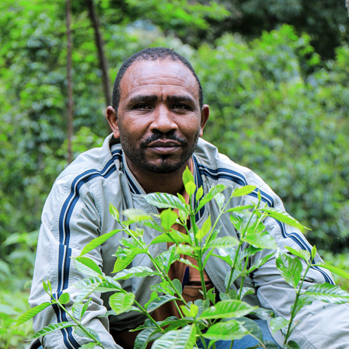 Alemayehu's coffee