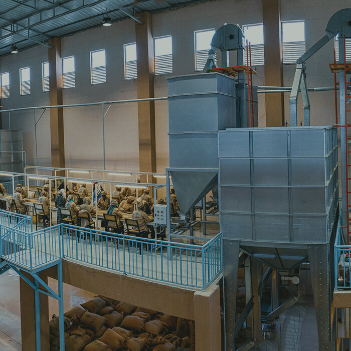 Coffee dry mill