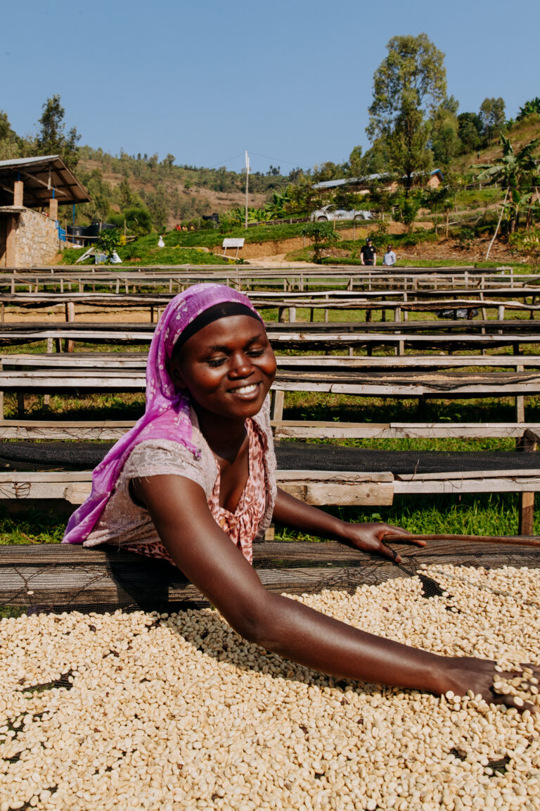 Rwanda Coffee Dry Mill