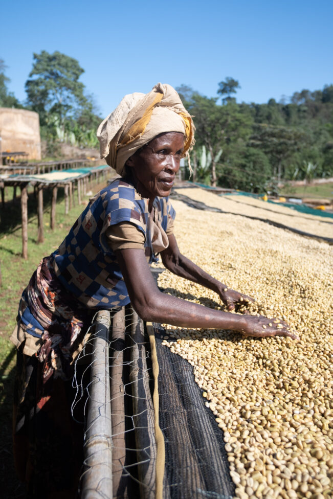 Chelchele - Trabocca | In pursuit of great coffee