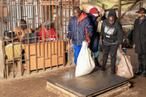 Kenya Coffee Reforms thumbnail